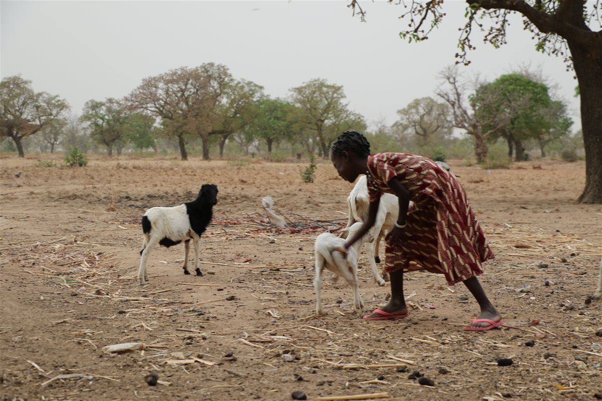 2015 BURKINA FASO EDU EM 020