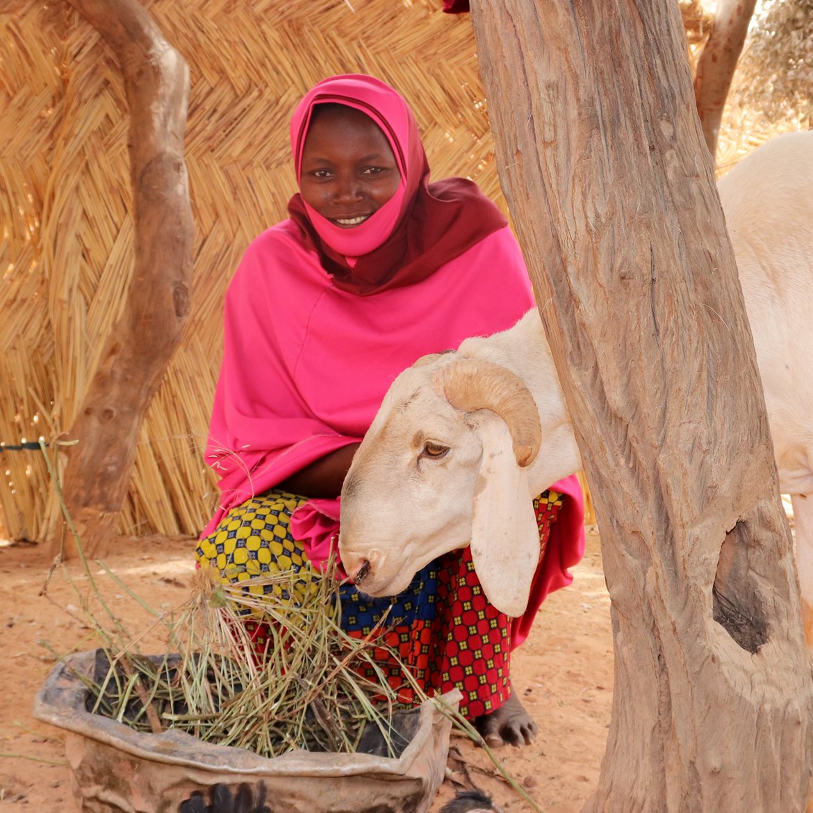 2021-niger-woman-and-sheep