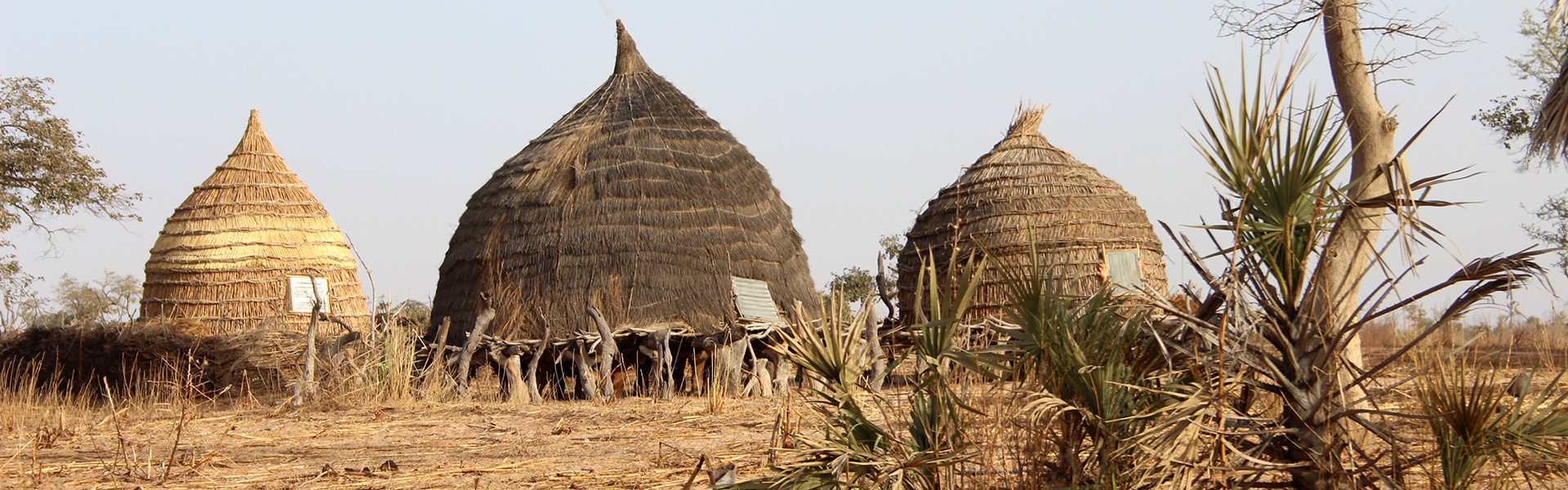 niger-village-huts