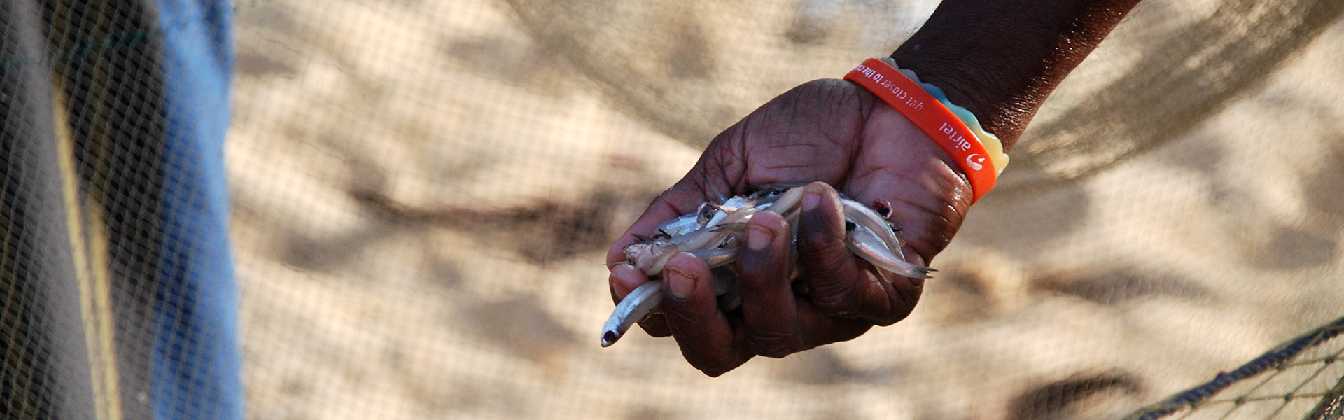 sri-lanka-hand-with-small-fish